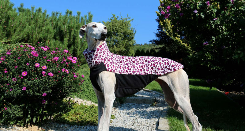 Sofa Dog Wear Pullover-Modelle – Überblick für verschiedene Hundefiguren