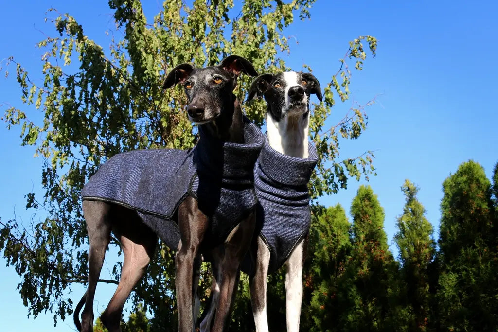 SOFA Dog Wear Größenberatung – Pullover und Mäntel für verschiedene Hundefiguren