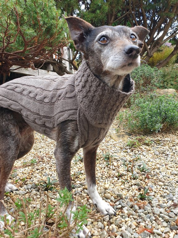 kay-line Hundepullover Smarty