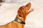 Rukka Luminous Soft Collar