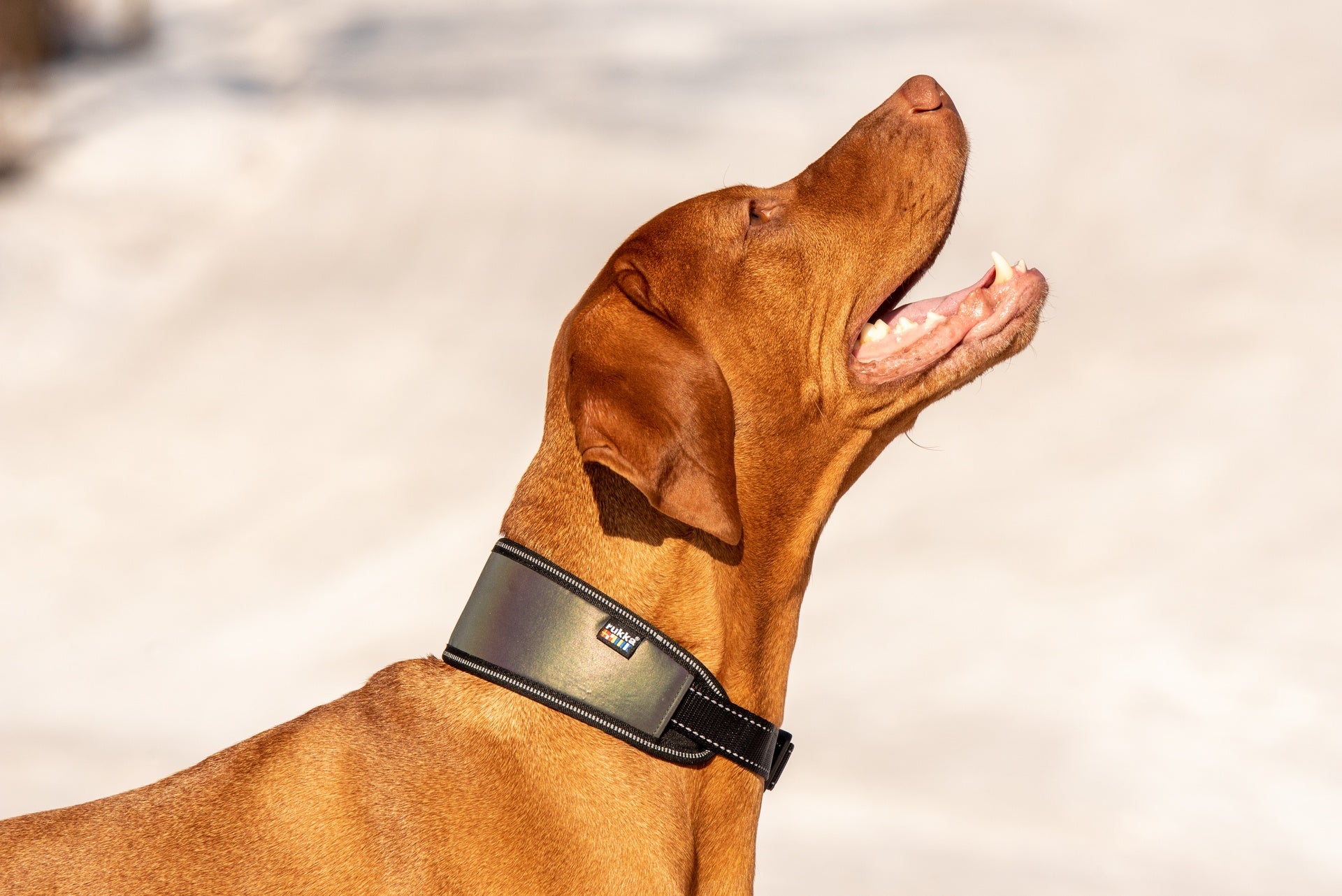 Rukka Luminous Soft Collar