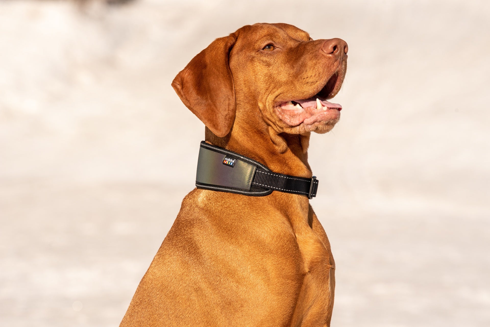 Rukka Luminous Soft Collar