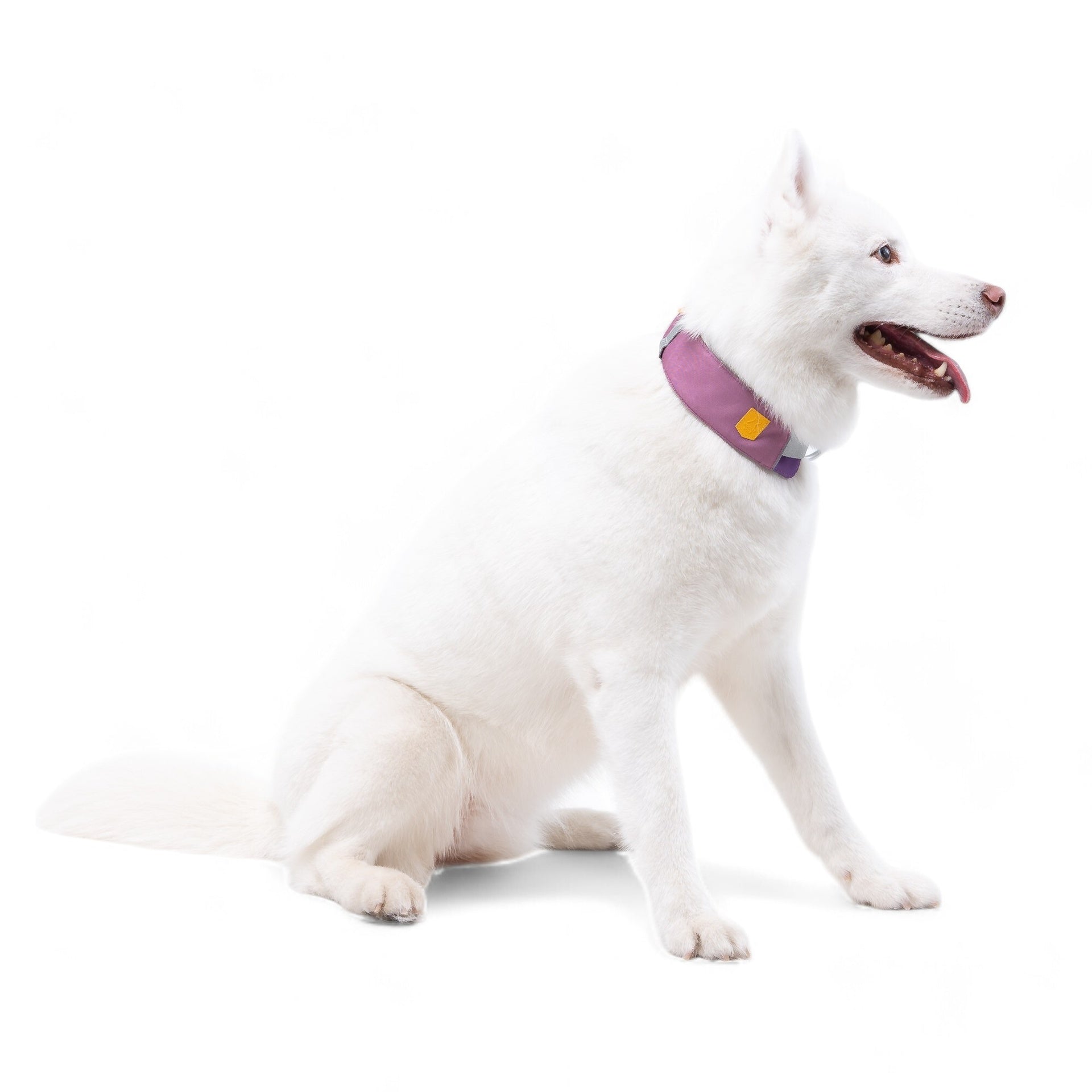 Woolly Wolf Alpha 360 Halsband