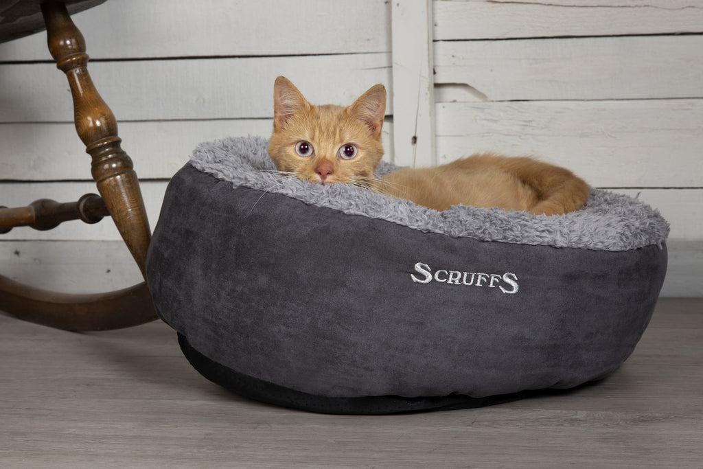 Scruffs Cosy Cat
