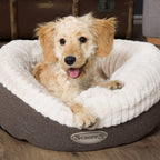 Scruffs Ellen Donut