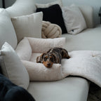 District 70 Hundesofa NUZZLE