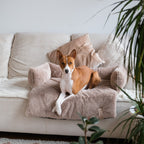 District 70 Hundesofa NUZZLE