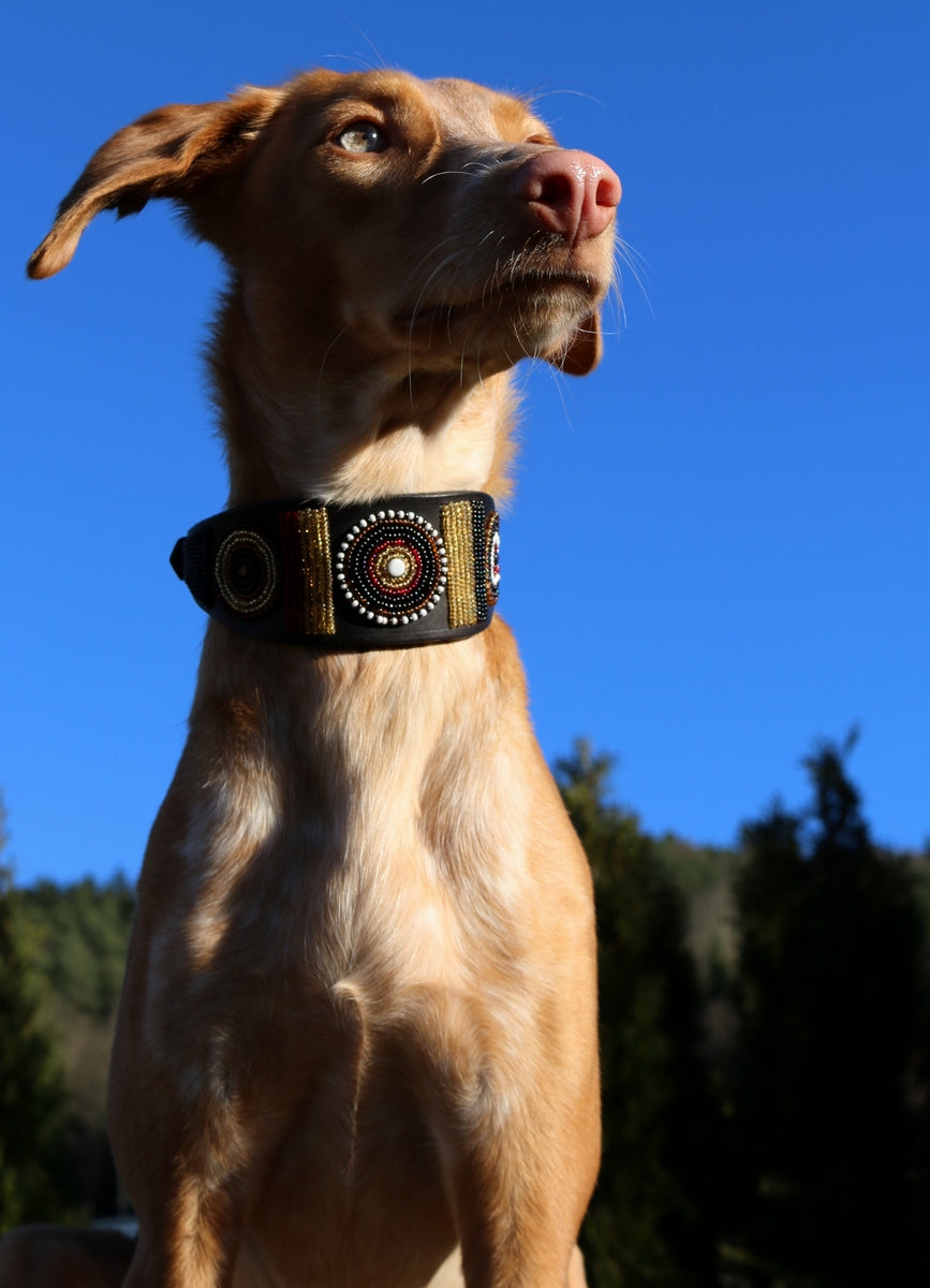 TKC Earth Lurcher
