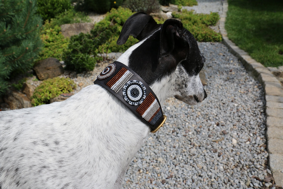 TKC Oryx Lurcher