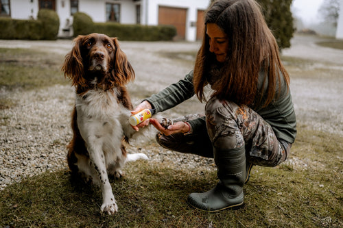 Ballistol Animal Tierpflegeöl