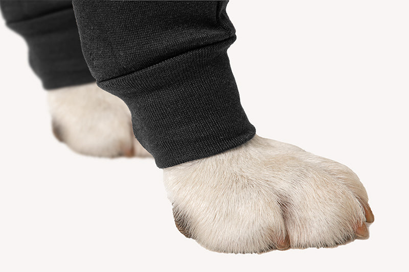 Suitical Recovery Double Sleeve® Hund