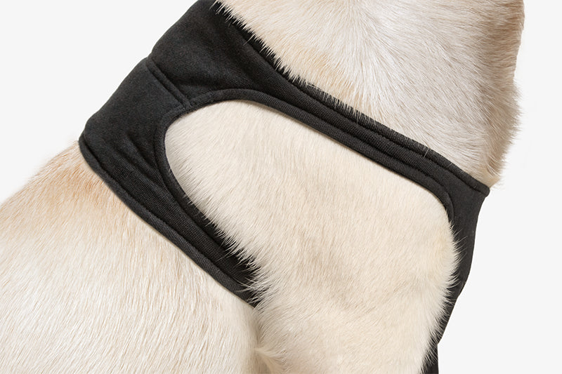 Suitical Recovery Sleeve® Hund