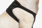 Suitical Recovery Sleeve® Hund