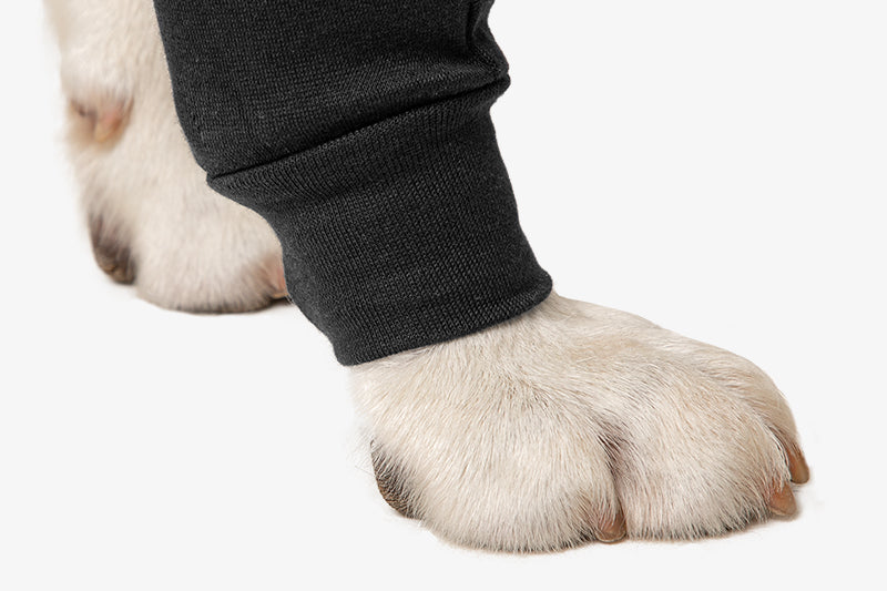 Suitical Recovery Sleeve® Hund
