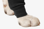 Suitical Recovery Sleeve® Hund