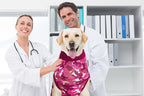 Suitical Recovery Suit® Hund Camouflage