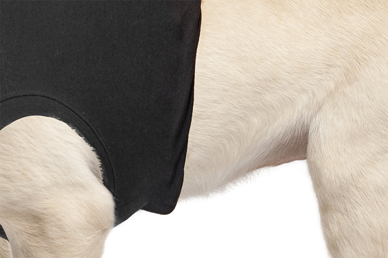 Suitical Recovery Suit® Hund Schwarz