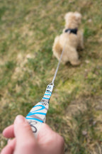Frauenhand die mit einer kurzen Leine mit bunter Handschlaufe einen Hund führt