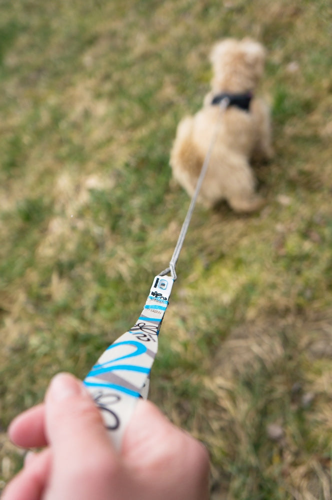 Frauenhand die mit einer kurzen Leine mit bunter Handschlaufe einen Hund führt