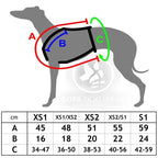 Sportgeschirr Y Small Pawprint