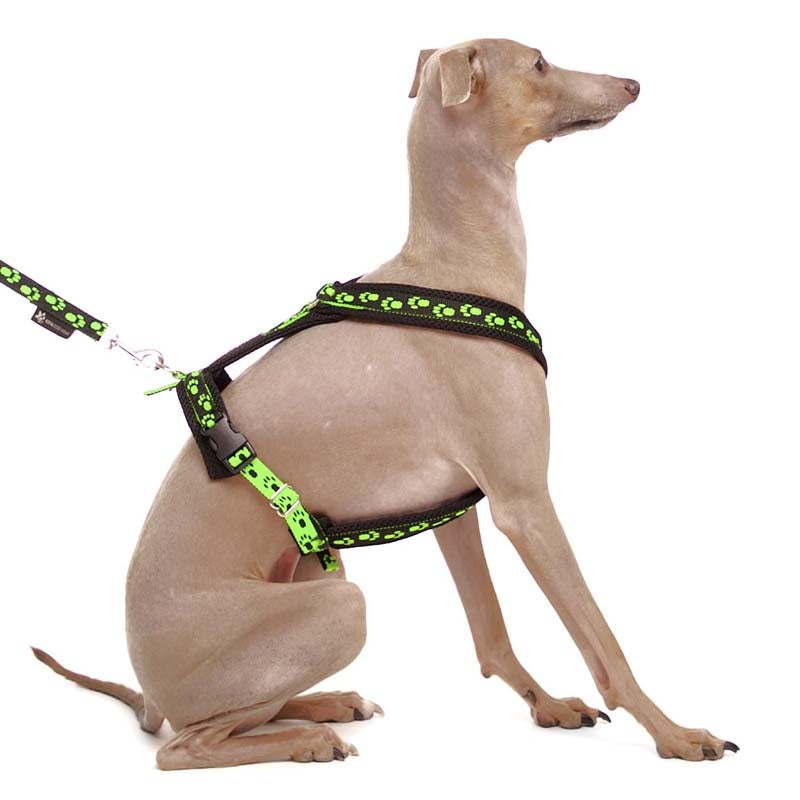 Sportgeschirr Y Small Pawprint