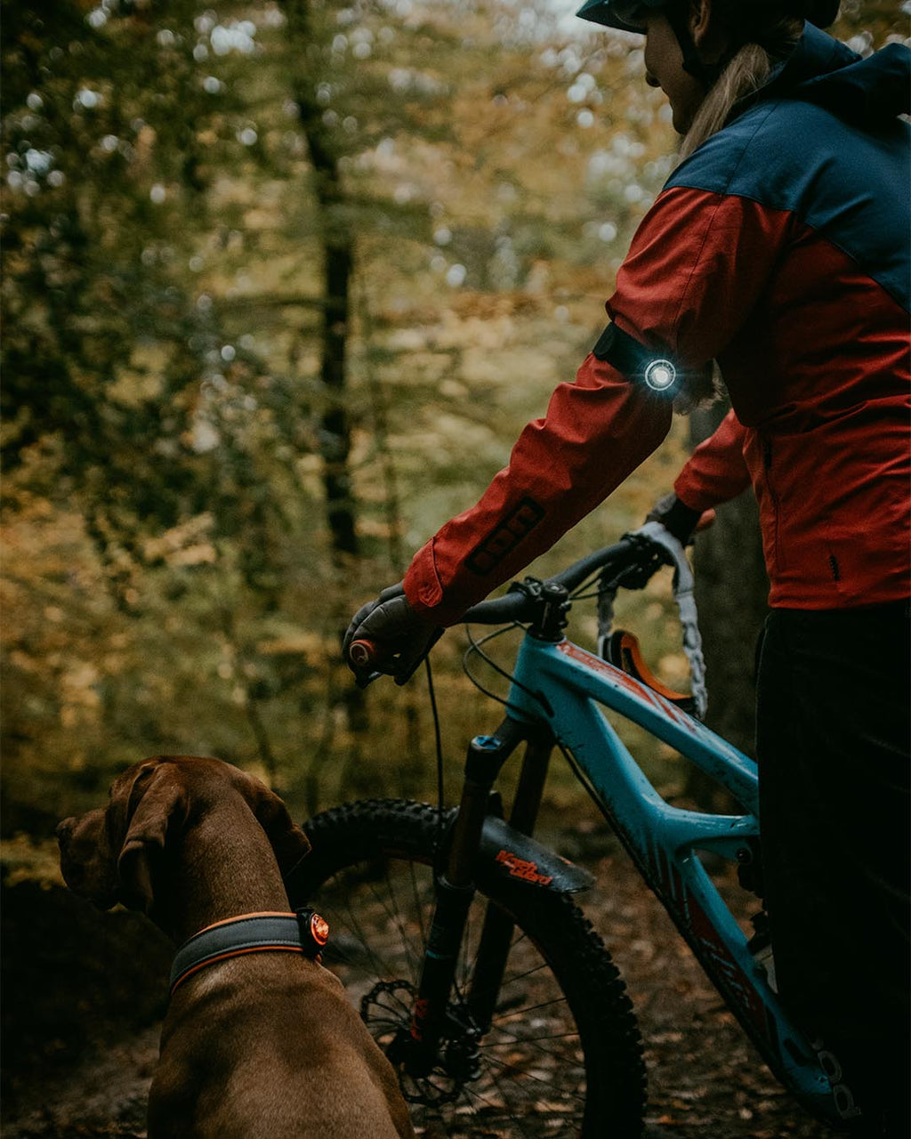 Orbiloc K9 Active Pack