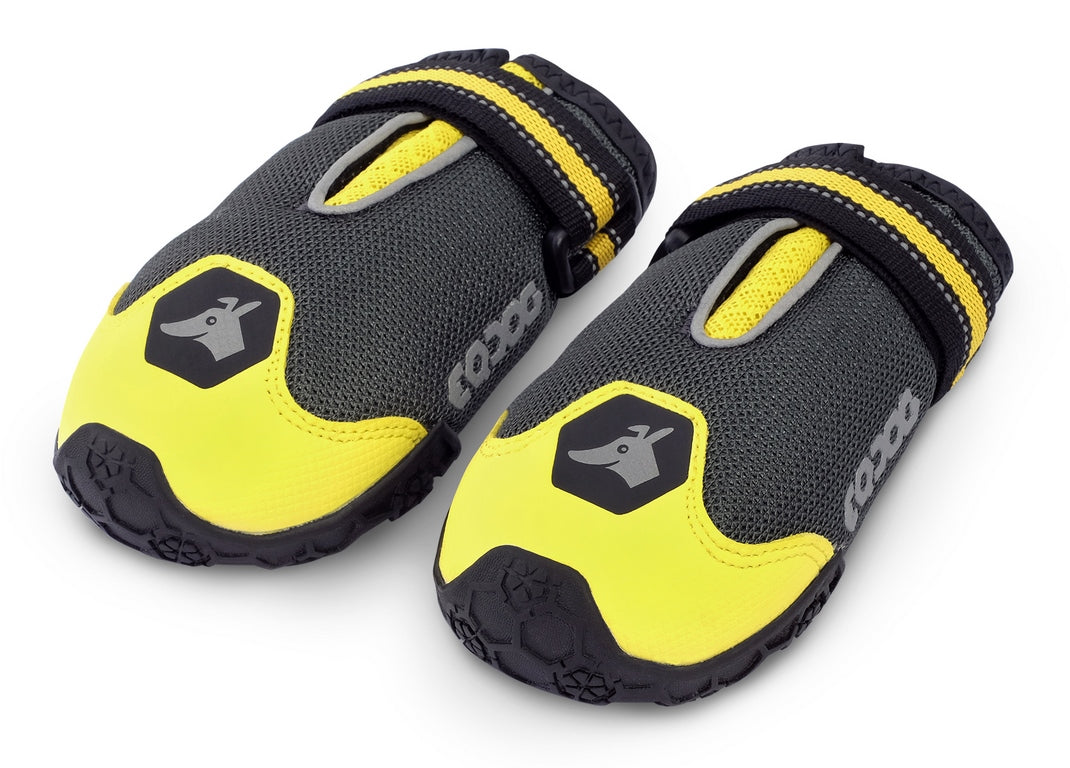 EQDOG 4 Season Shoes