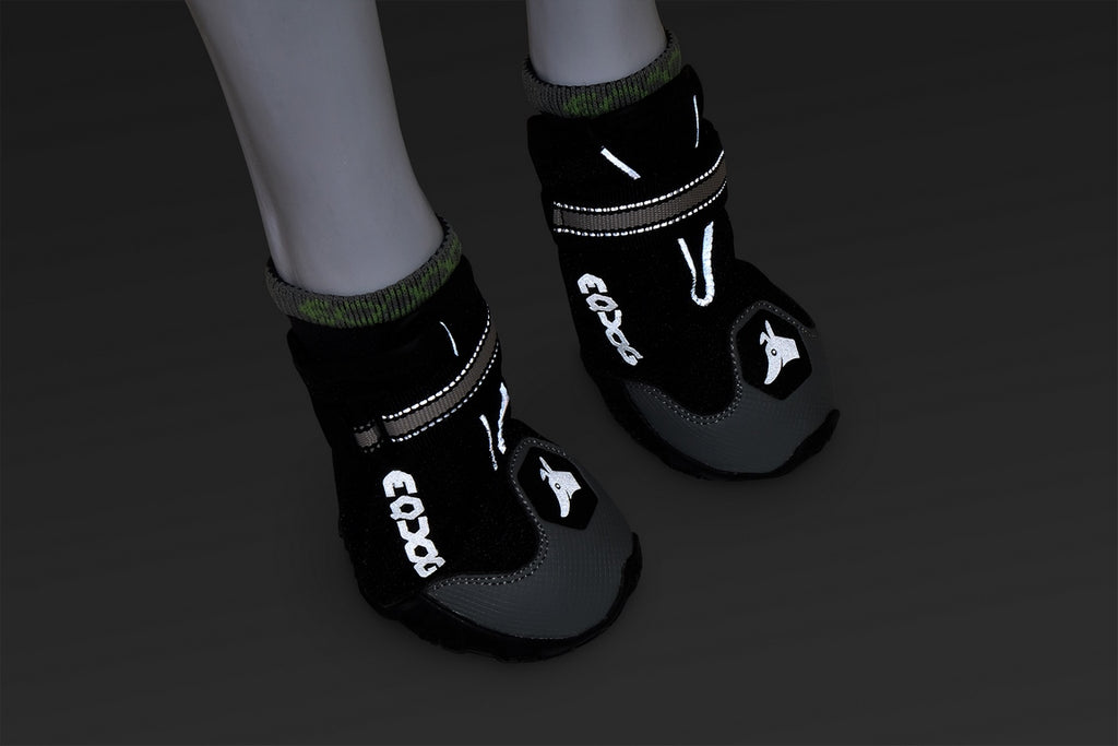 EQDOG 4 Season Shoes