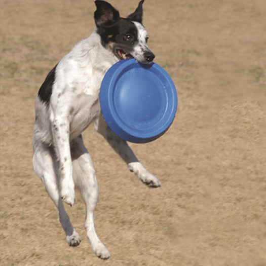 Frisbee Easy Glider Blautöne