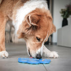 Fun & Tasty Paw Schleckmatte