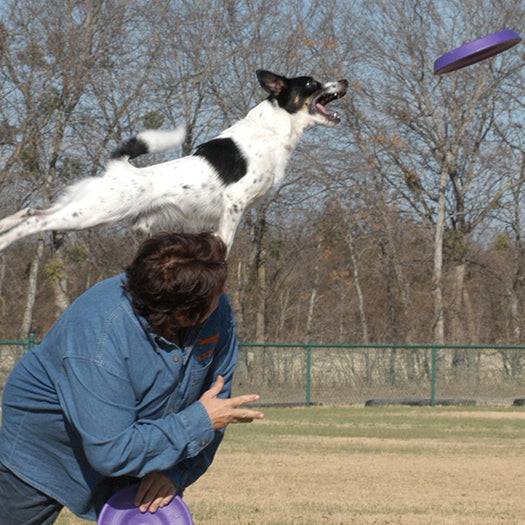 Frisbee Easy Glider Gelb