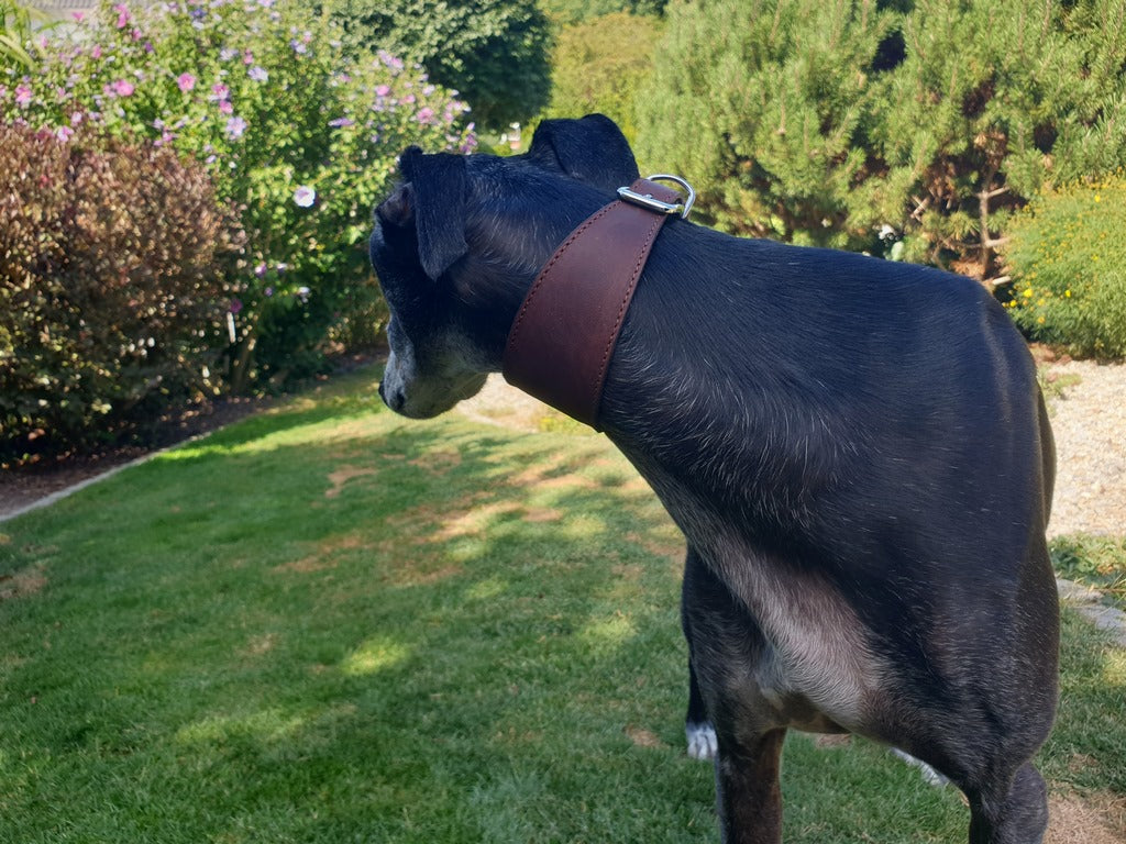 Windhundhalsband Vici Nature OEKO-TEX®