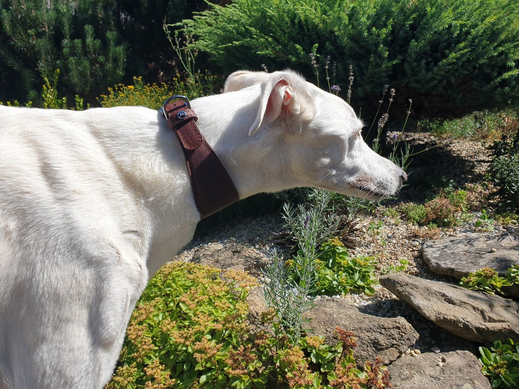 Windhundhalsband Vici Nature OEKO-TEX®