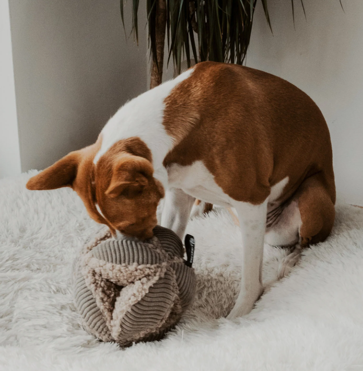 Bobby Snuffle Ball