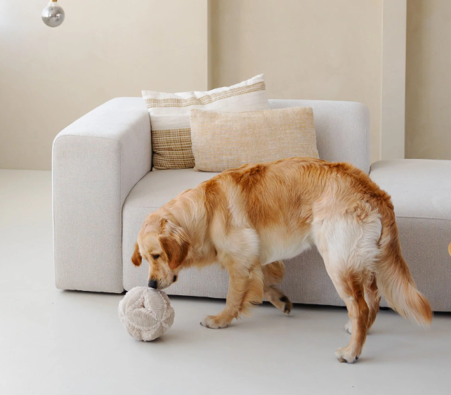 Bobby Snuffle Ball