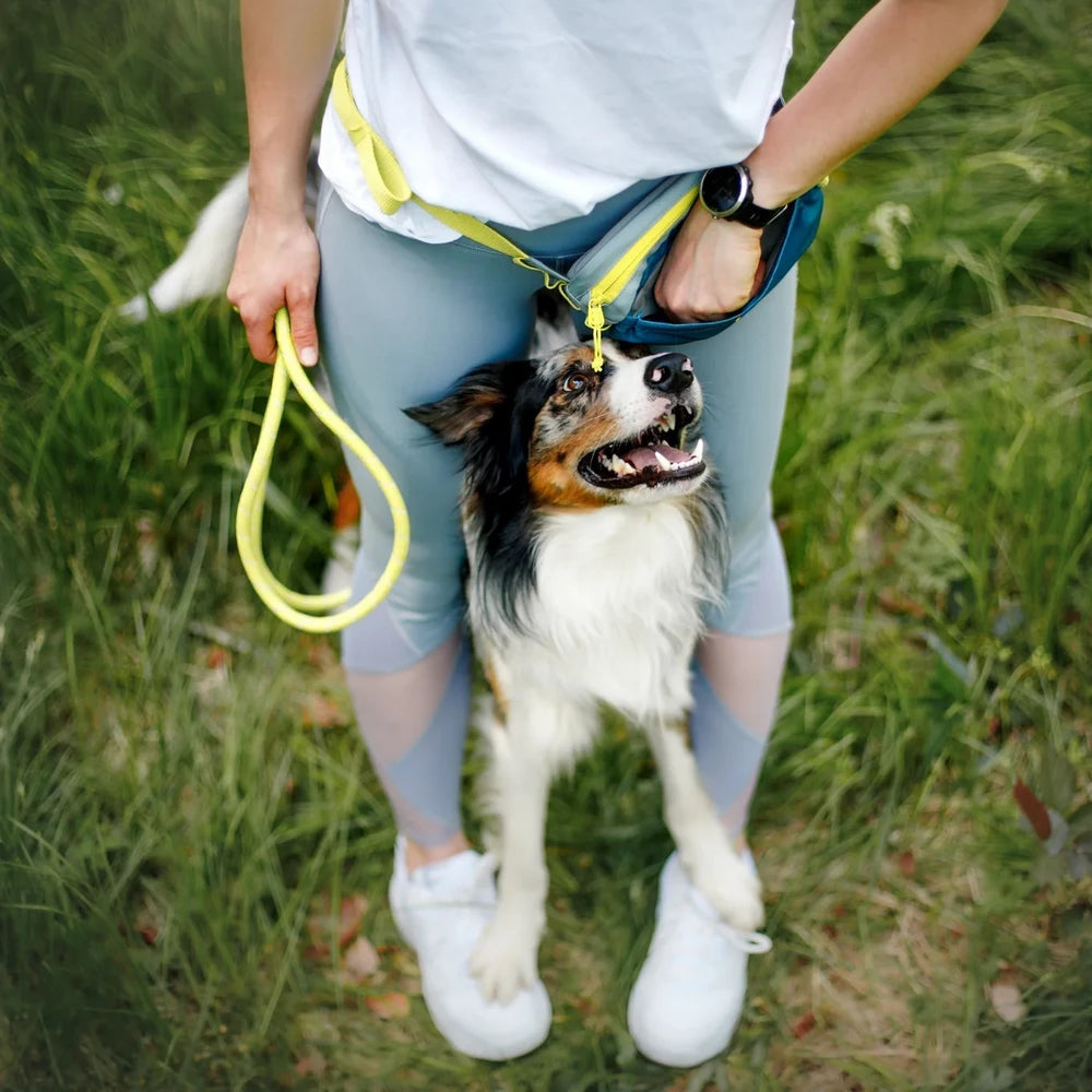 Woolly Wolf Alpha 360 Hip Pack