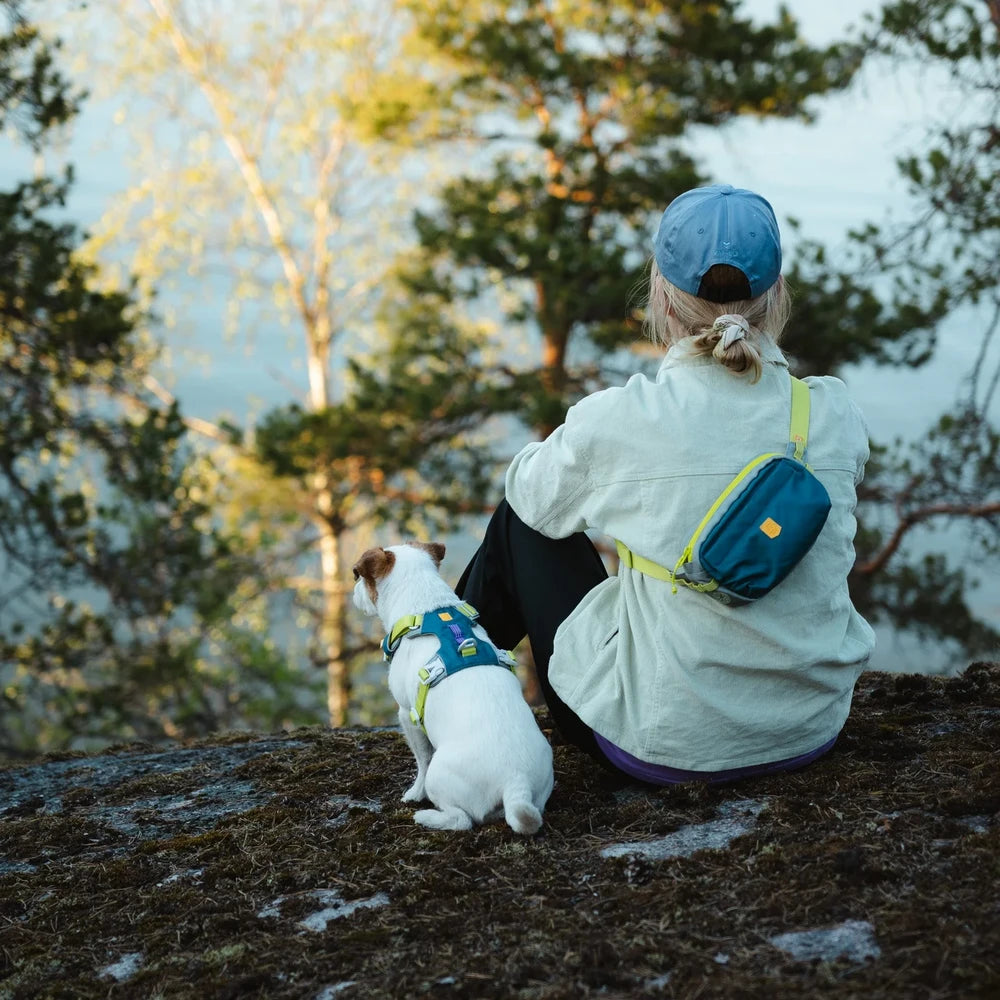 Woolly Wolf Alpha 360 Hip Pack