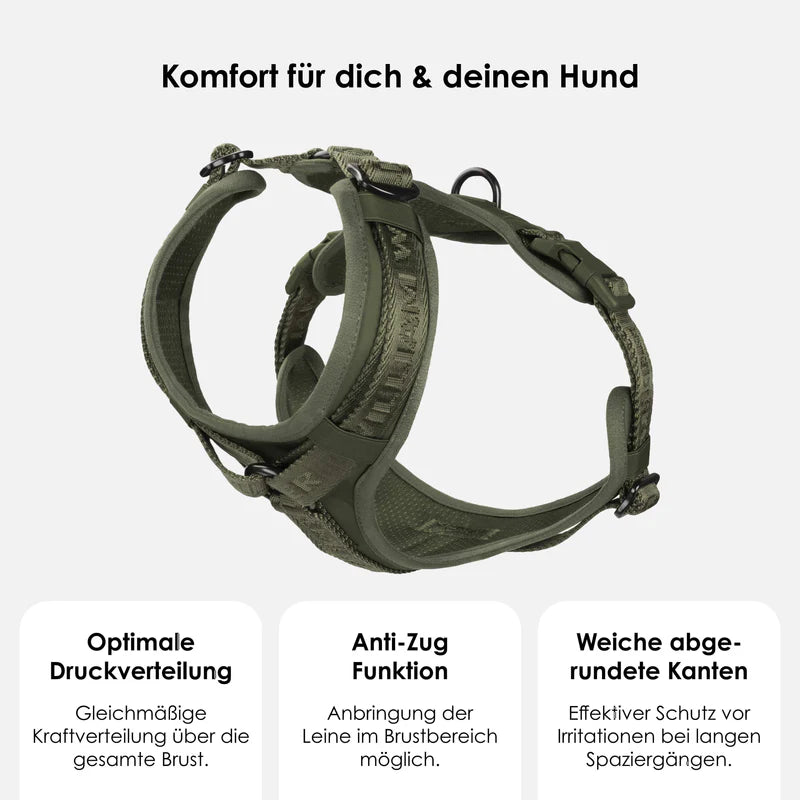 Apex Y-Geschirr
