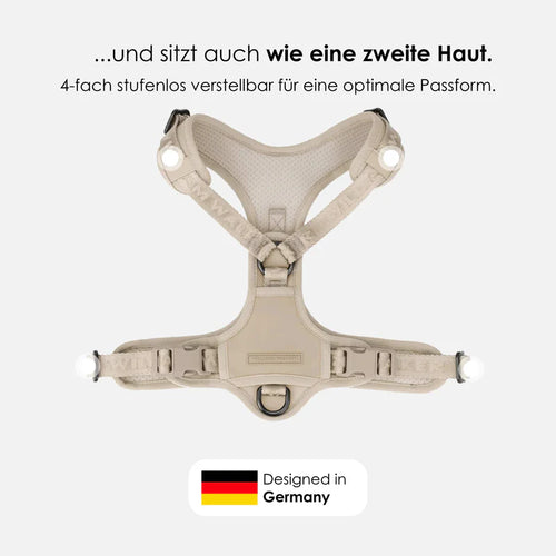 Apex Y-Geschirr