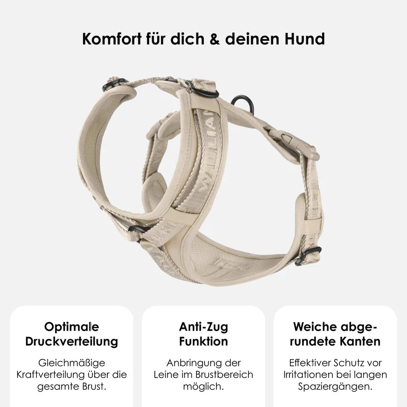 Apex Y-Geschirr