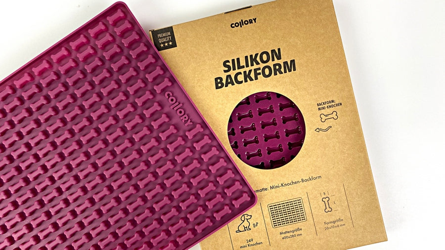 Collory Mini Knochenform