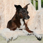 Cuddly Blanket Kuscheldecke