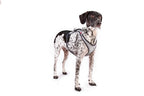 curli Belka Geschirr Glow Grey