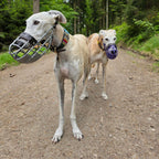 Maulkorb Don Pare 101 (Greyhound)