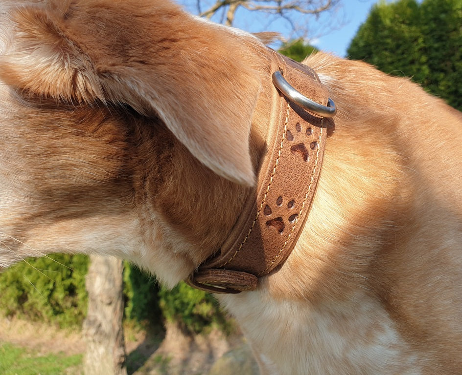 Vintage Dog Halsband