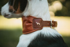 Halsband ARVIKA
