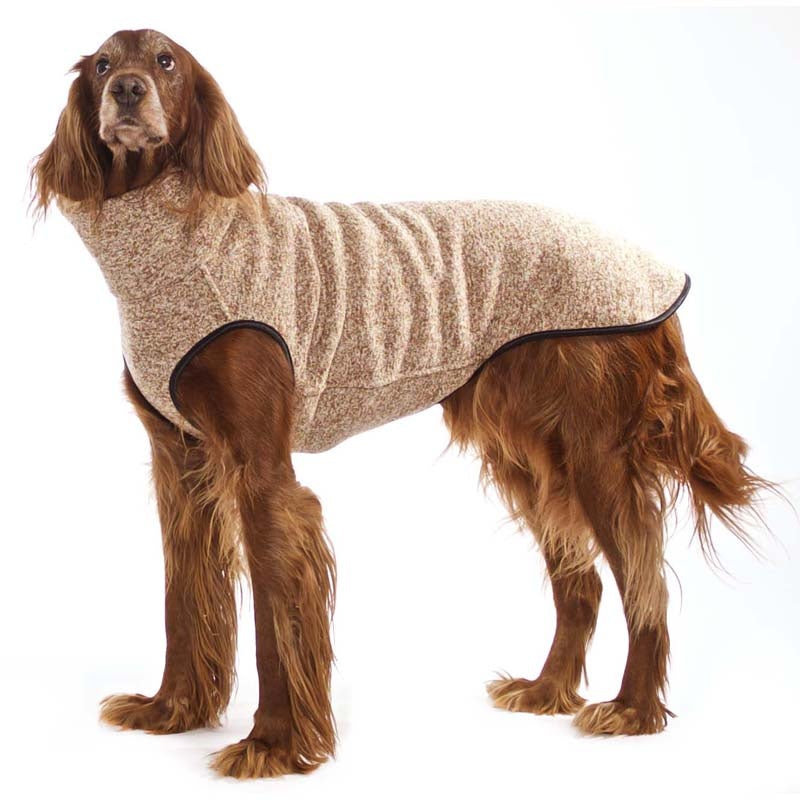 Hachico JUMPER Vol. 2