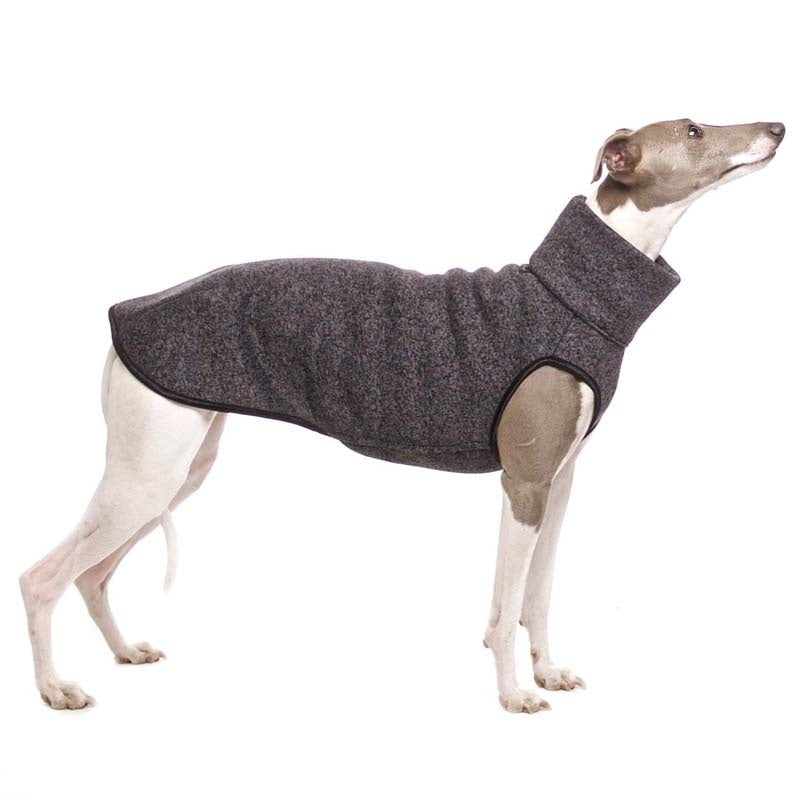 Hachico JUMPER Vol. 2