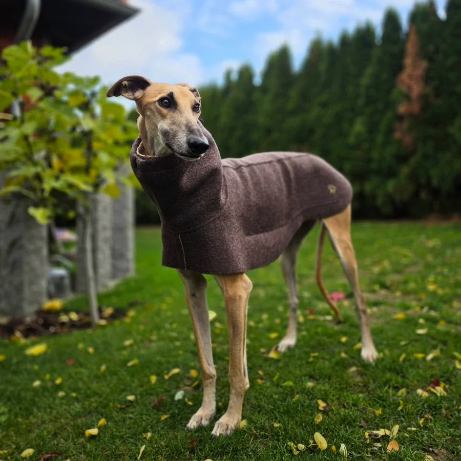 Wollwalkmantel in Braun an Galgo Espanol