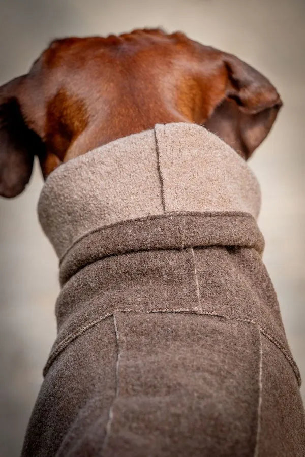 Detailaufname der Nackenpartie des Wollwalkmantel  in Braun an Rhodesian Ridgeback